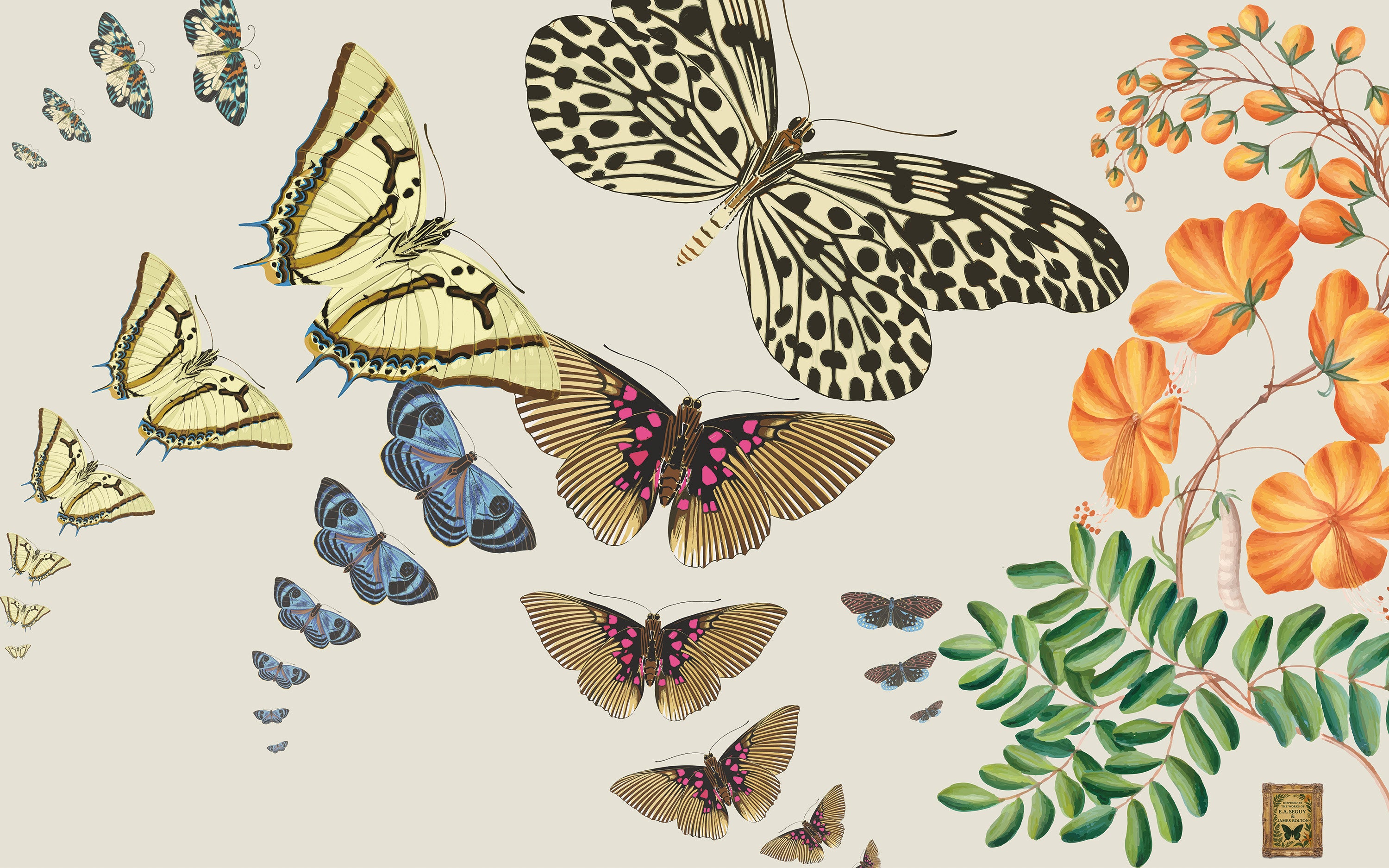 Illustration of various butterflies and flowers on a beige background