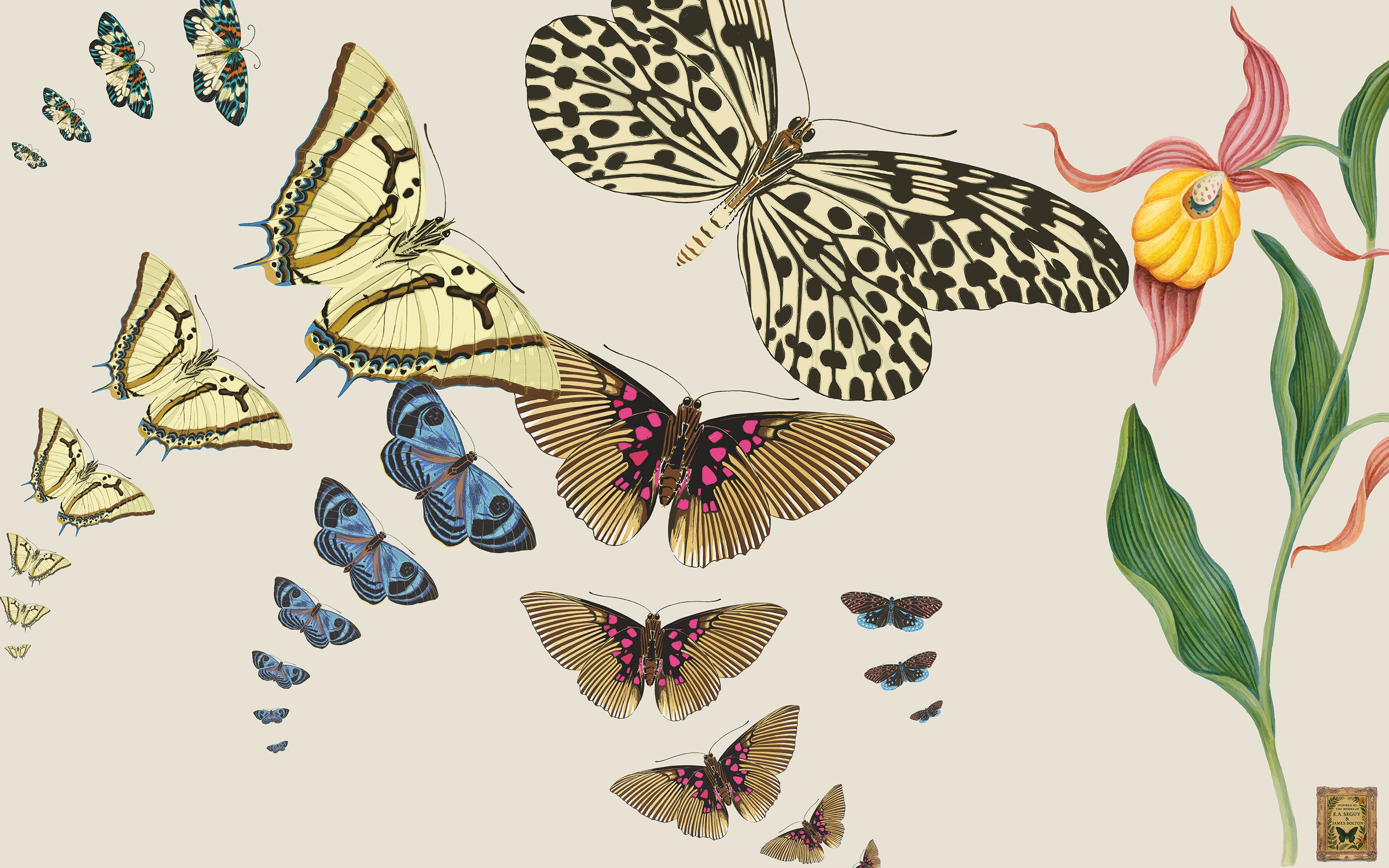 Illustration of various butterflies and flowers on a beige background