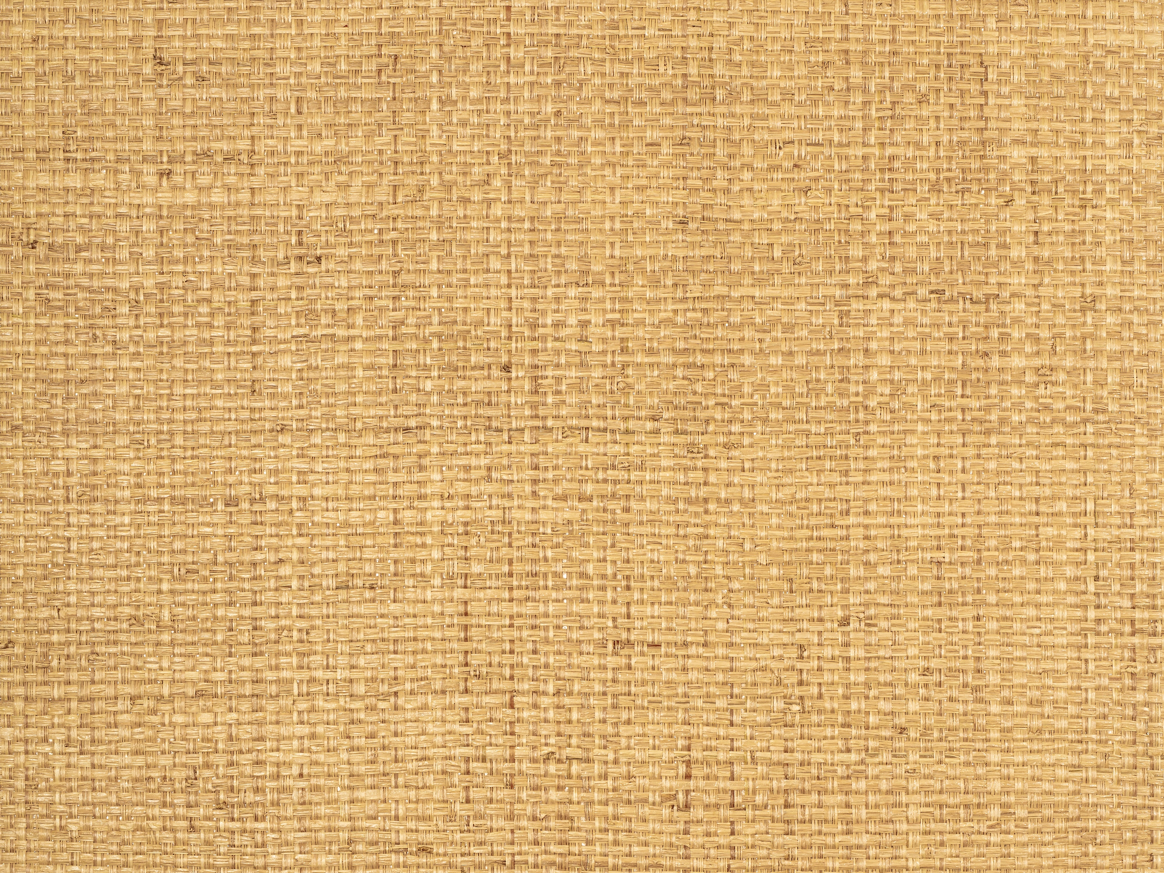 Terra Weave textured grasscloth wallcovering – shown as a full-wall feature