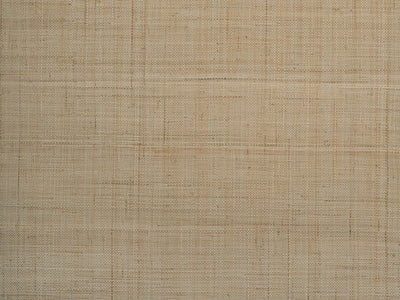 Bare Whisper textured grasscloth wallcovering – shown as a full-wall feature