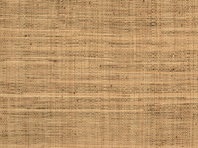 Canyon Path textured grasscloth wallcovering – shown as a full-wall feature