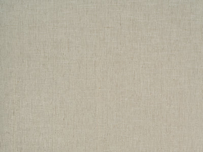 Horizon Calm textured grasscloth wallcovering – shown as a full-wall feature