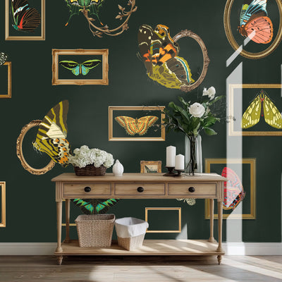 Decorative interior with a console table against a wall featuring framed butterfly art.