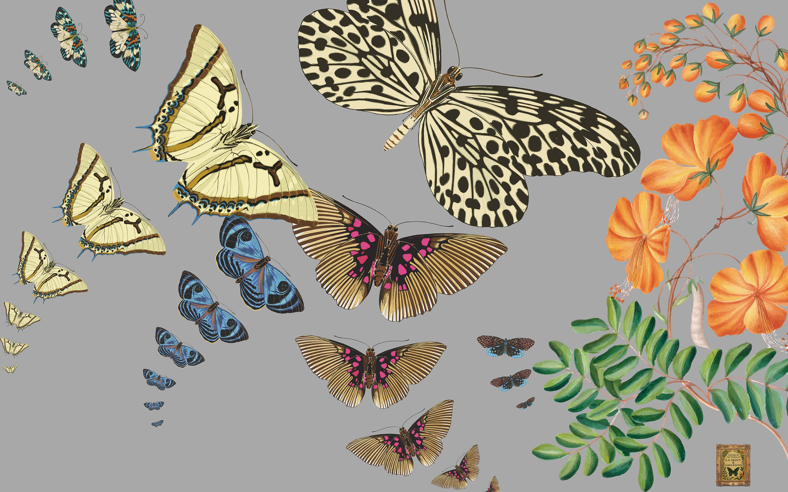 Butterflies and flowers on a gray background
