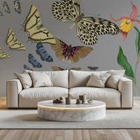 Orchid Muse - Ash Grey