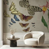 Orchid Muse - Soft Ivory