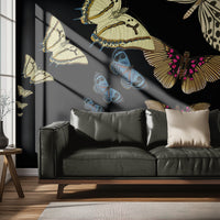 Orchid Muse – Midnight Black