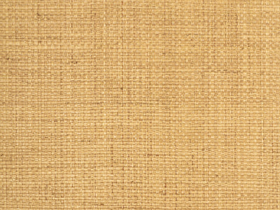 Terra Weave textured grasscloth wallcovering – shown as a full-wall feature