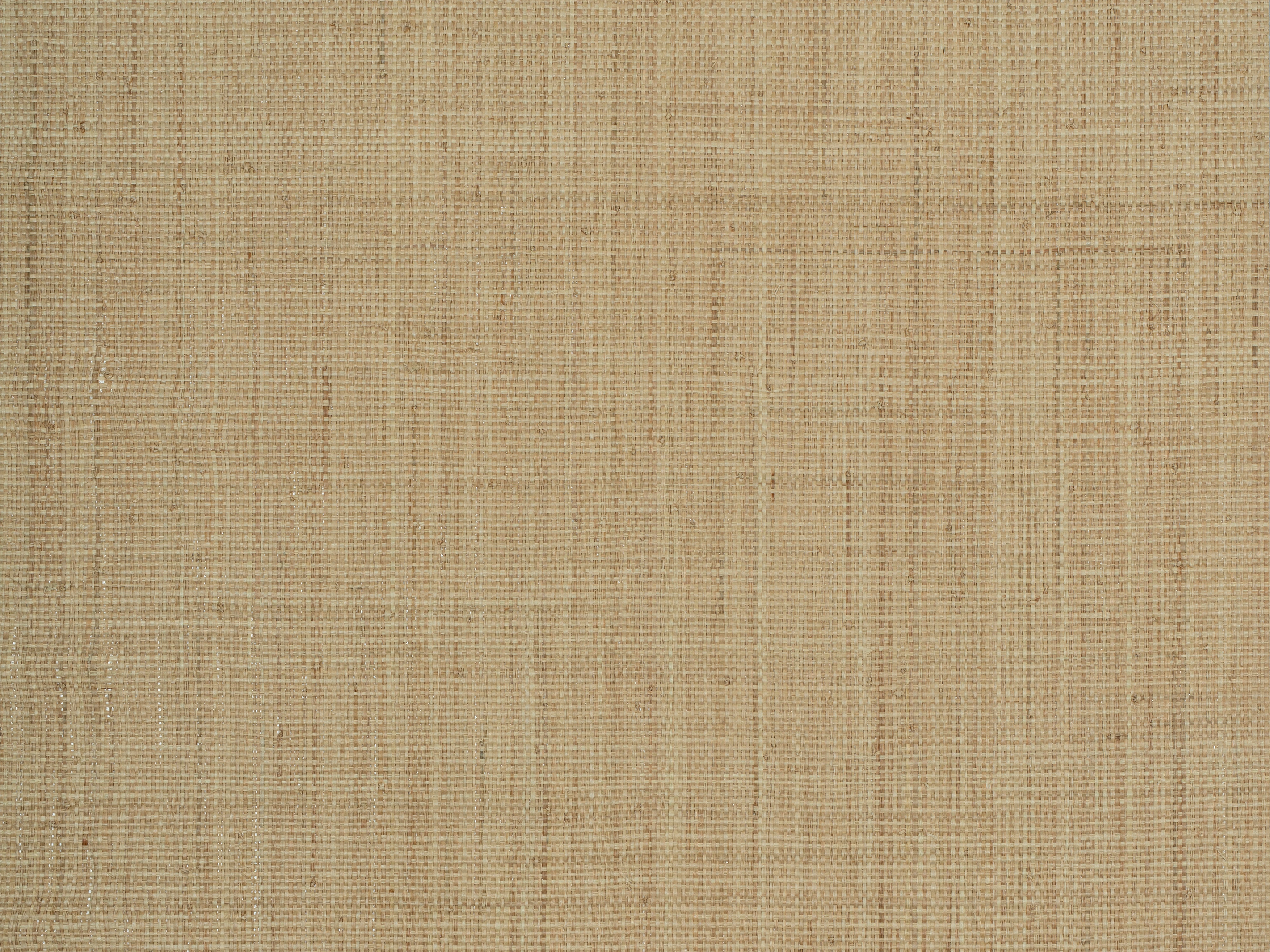 Woven Grove textured grasscloth wallcovering – shown as a full-wall feature