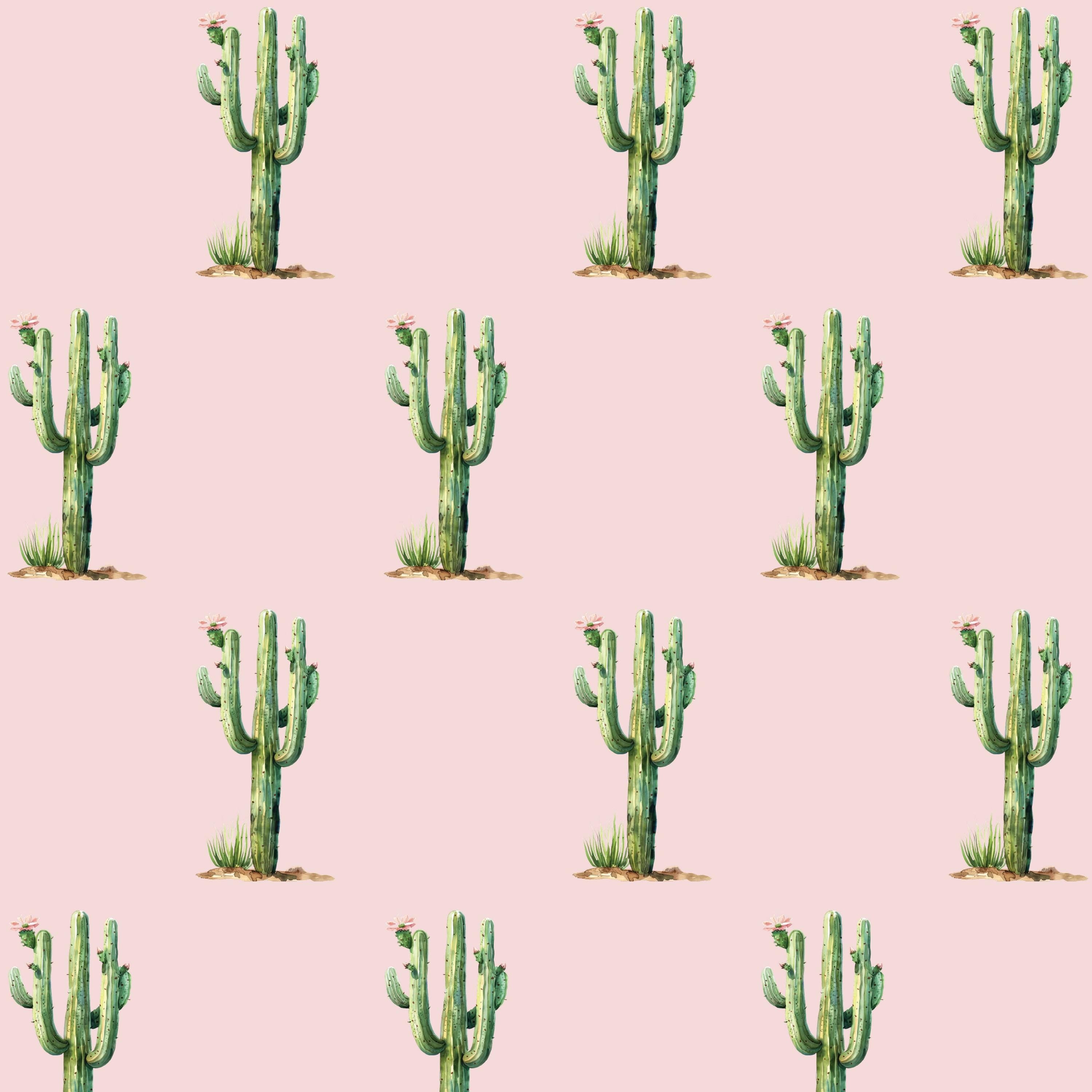 Cactus Garden botanical wallpaper – feature wall in a styled space