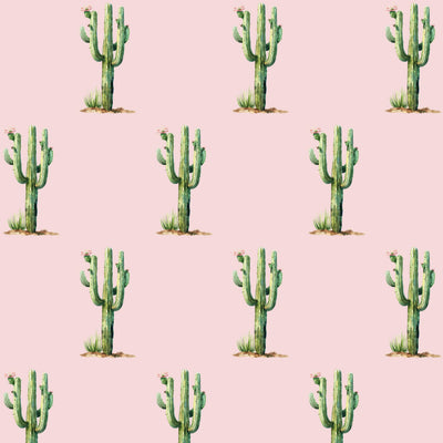 Cactus Garden botanical wallpaper – feature wall in a styled space